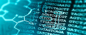 Bioinformatics Software